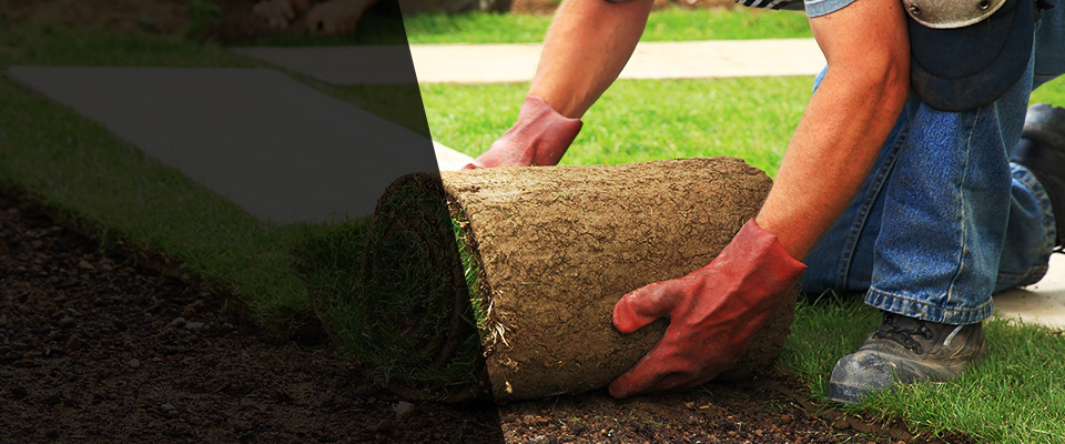 Magee Landscapers